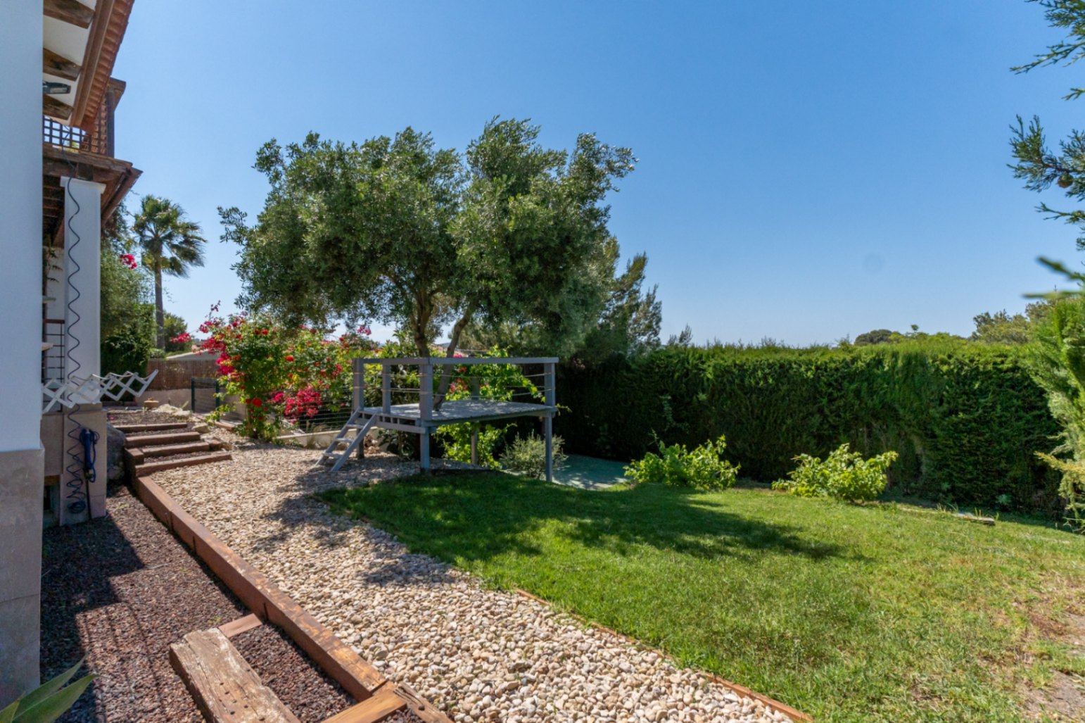 Seitengarten mit Rasenfläche, Kiesweg und Holzstufen. Eine erhöhte Holzplattform umschließt einen Olivenbaum, eingefasst von einer blickdichten Hecke.