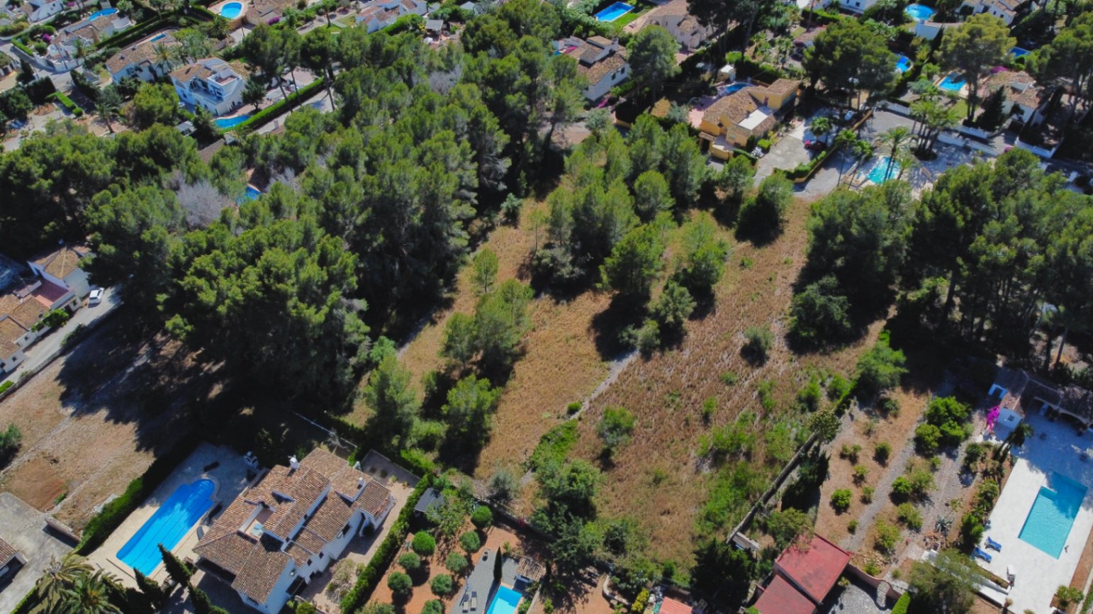 Luftaufnahme eines großen, flachen Grundstücks, umgeben von altem Pinienbestand und etablierten Wohnvillen mit privaten Pools in Jávea.