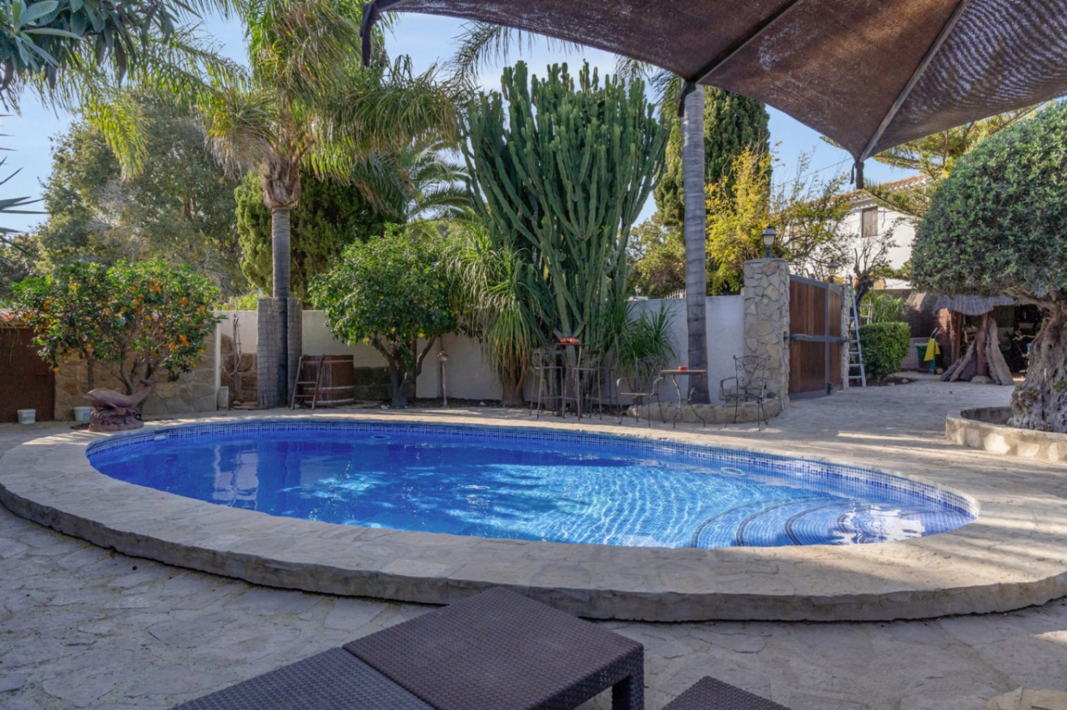 Ovaler Pool mit blauen Mosaikfliesen, umgeben von Natursteinpflaster und einem mediterranen Garten mit Palmen, Kakteen und Zitrusbäumen.