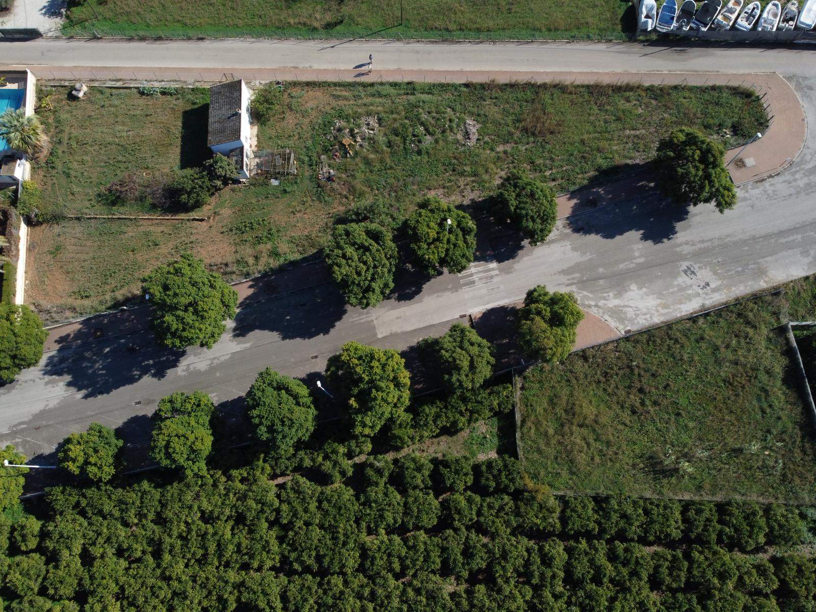Zenithale Luftaufnahme des Grundstücks mit asphaltierter Zufahrt, altem Baumbestand und direkter Angrenzung an geschützte landwirtschaftliche Flächen in Jávea.