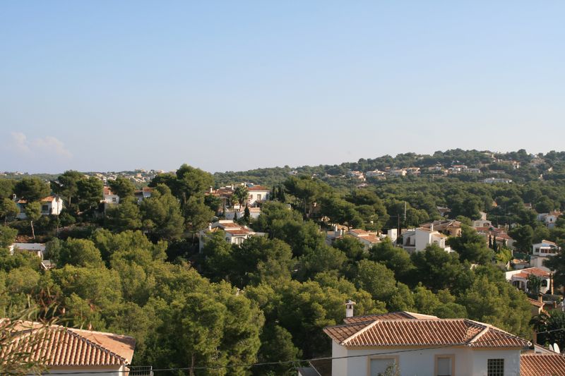 Panoramablick vom Grundstück auf ein Wohngebiet inmitten eines mediterranen Pinienwaldes, geprägt von traditionellen Villen mit Terrakottadächern.