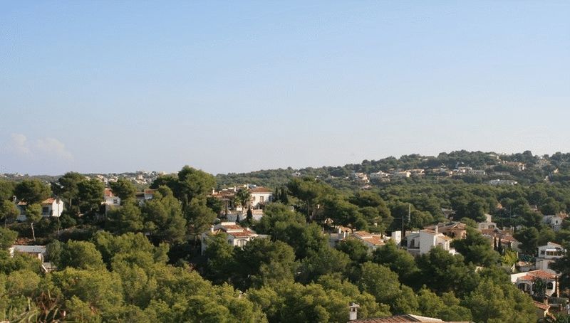 Panoramablick vom Grundstück über ein Wohngebiet mit traditionellen weißen Villen und dichten mediterranen Pinienwäldern.
