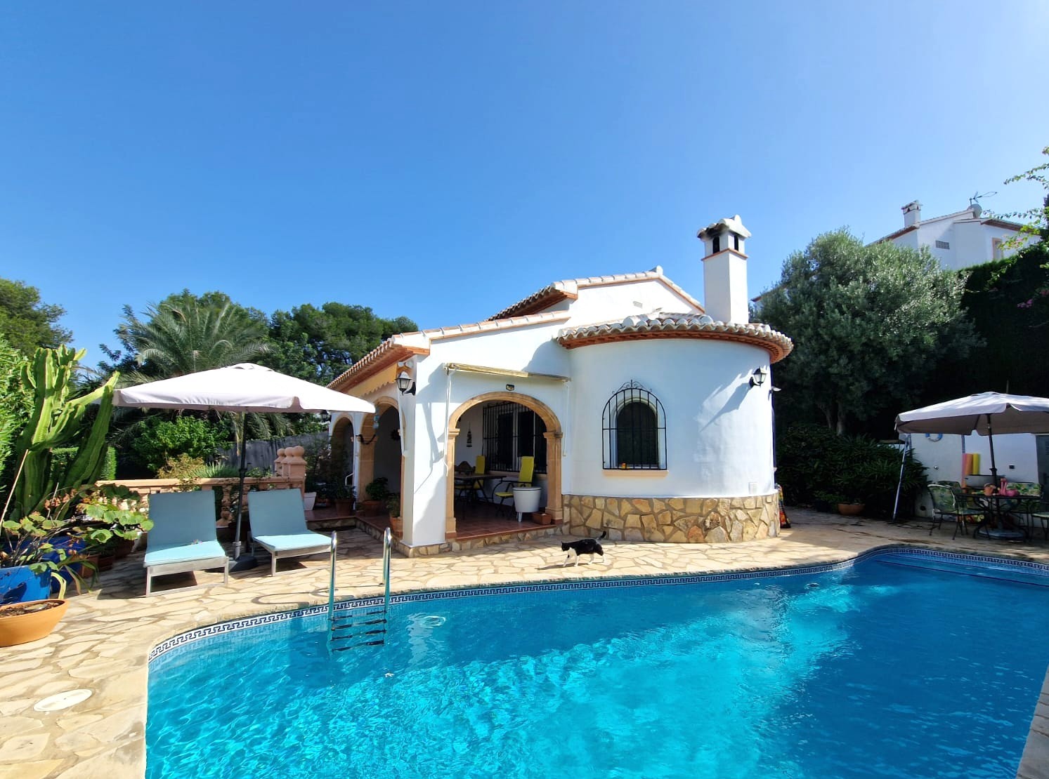 Außenansicht der Villa mit geschwungener Fassade, Naturstein-Terrasse und privatem Pool inmitten eines gepflegten Gartens in Jávea.