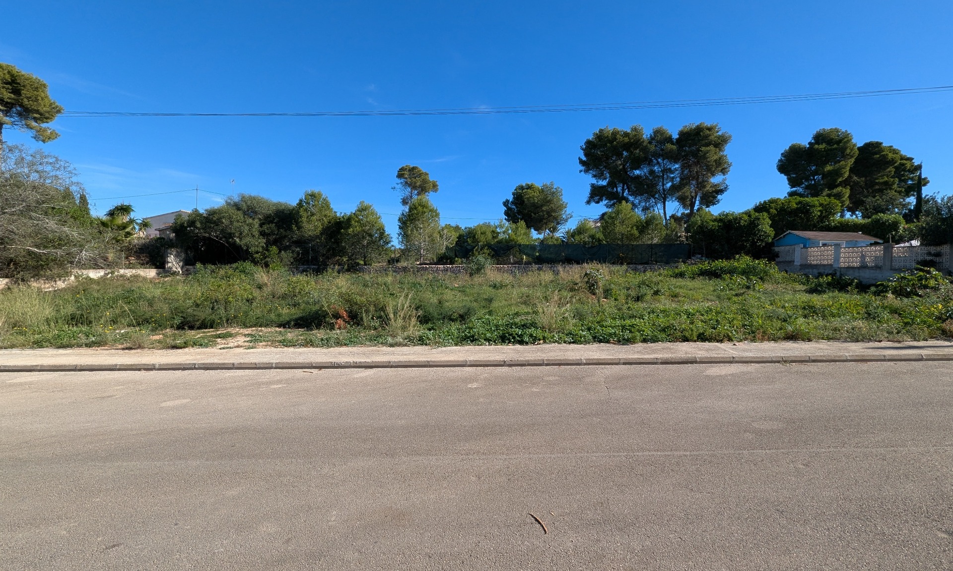 Ebenes, 889 m² großes Baugrundstück in Pinosol, Jávea, mit breiter Straßenfront, gewachsenem Baumbestand im Hintergrund und baureifem, flachem Gelände.