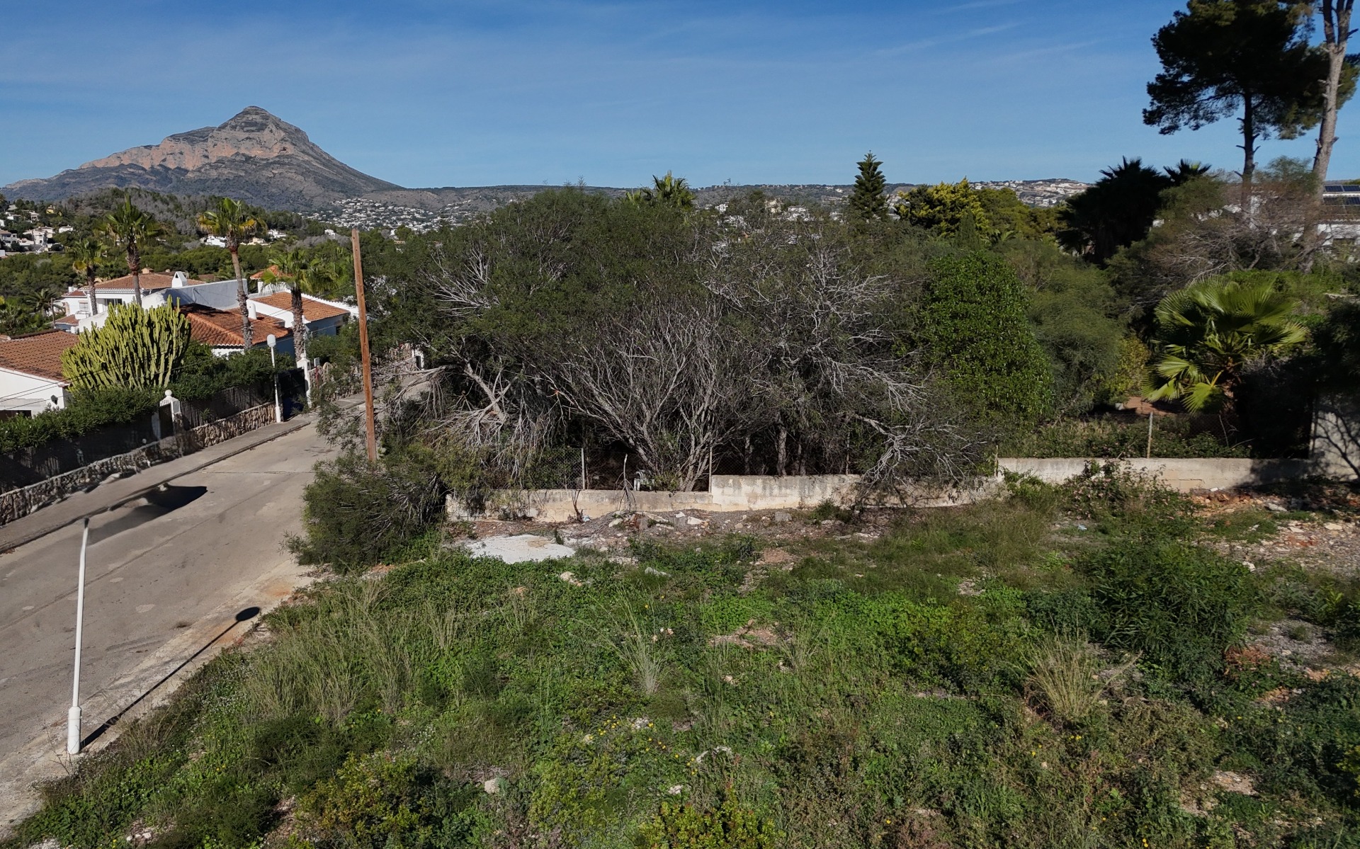Erhöhte Ansicht des flachen, 889 m² großen Baugrundstücks in Pinosol mit Blick auf die ruhige Anliegerstraße, die Umfassungsmauer und das Montgó-Massiv.