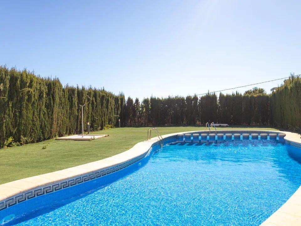 Gemeinschaftlicher Pool mit geschwungenen Kanten und blauen Mosaikfliesen, umgeben von einer Liegewiese und einer hohen Sichtschutzhecke.
