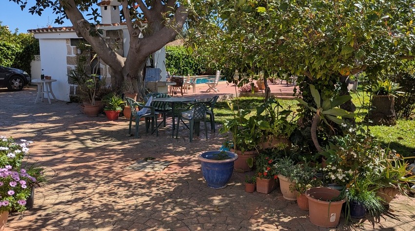 Gepflasterte Gartenterrasse im Schatten alter Bäume mit Sitzgelegenheiten im Freien, Topfpflanzen und Blick auf den privaten Pool und die Sommerküche.