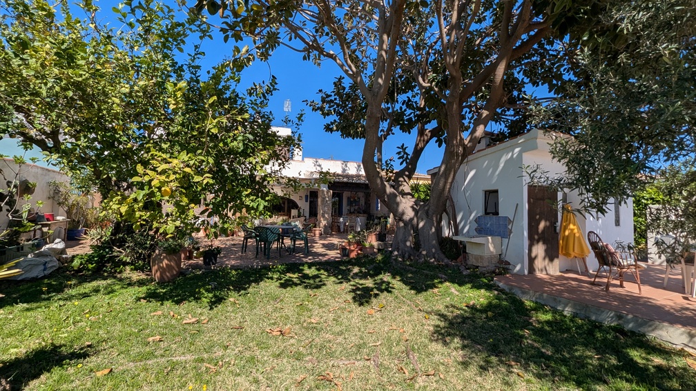 Mediterraner Garten mit altem Baumbestand, Zitronenbaum und Rasen. Verfügt über eine gepflasterte Terrasse mit Sitzgelegenheiten und ein weißes Nebengebäude nahe der Villa.