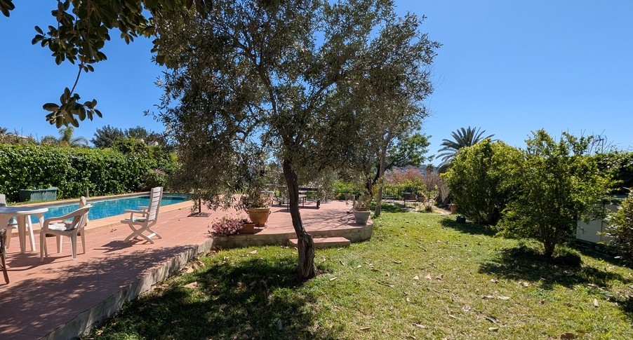 Privater rechteckiger Pool mit Terrakotta-Terrasse, angrenzender Rasenfläche und altem Baumbestand wie Olivenbäumen unter blauem Himmel.
