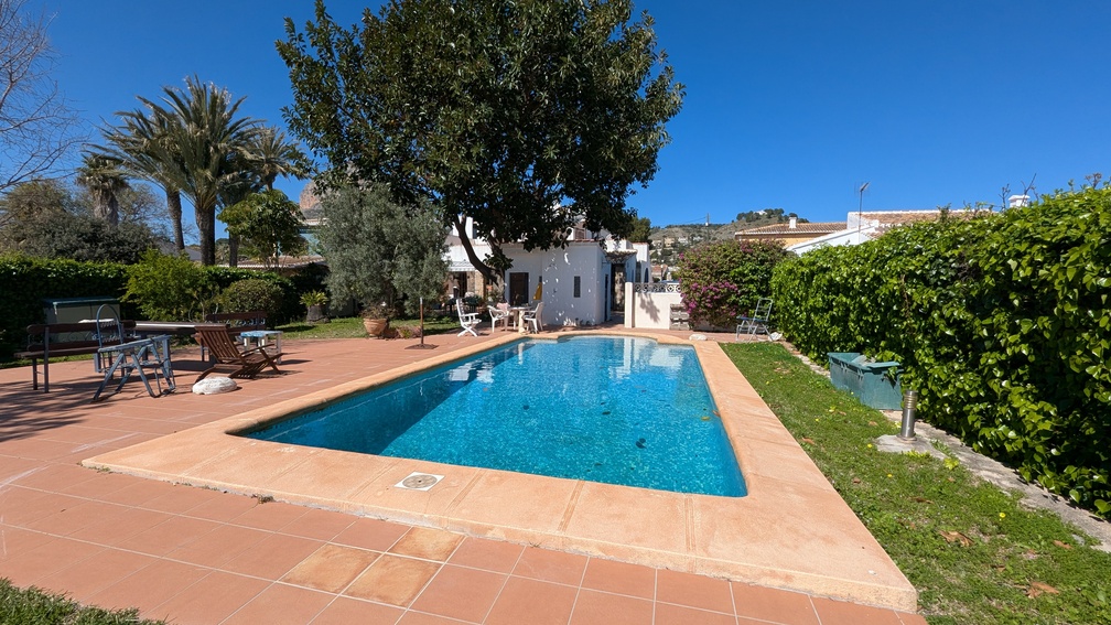 Privater rechteckiger Swimmingpool, umgeben von einer Terrakotta-Terrasse und einem eingewachsenen Garten mit Palmen und hohen Sichtschutzhecken.