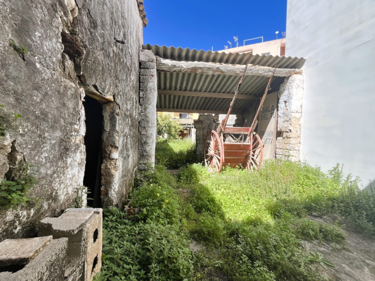 Rustikaler Hinterhof mit originalen Steinmauern, natürlicher Vegetation und einer antiken Holzkutsche unter einem Vordach, die den historischen Charme des Anwesens unterstreicht.