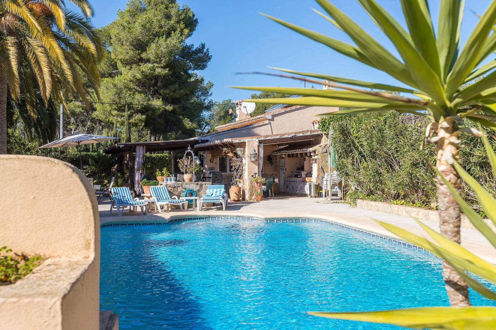 Beheizter Pool mit Sonnenterrasse und Liegestühlen, angrenzend an eine überdachte Sommerküche inmitten eines mediterranen Gartens.