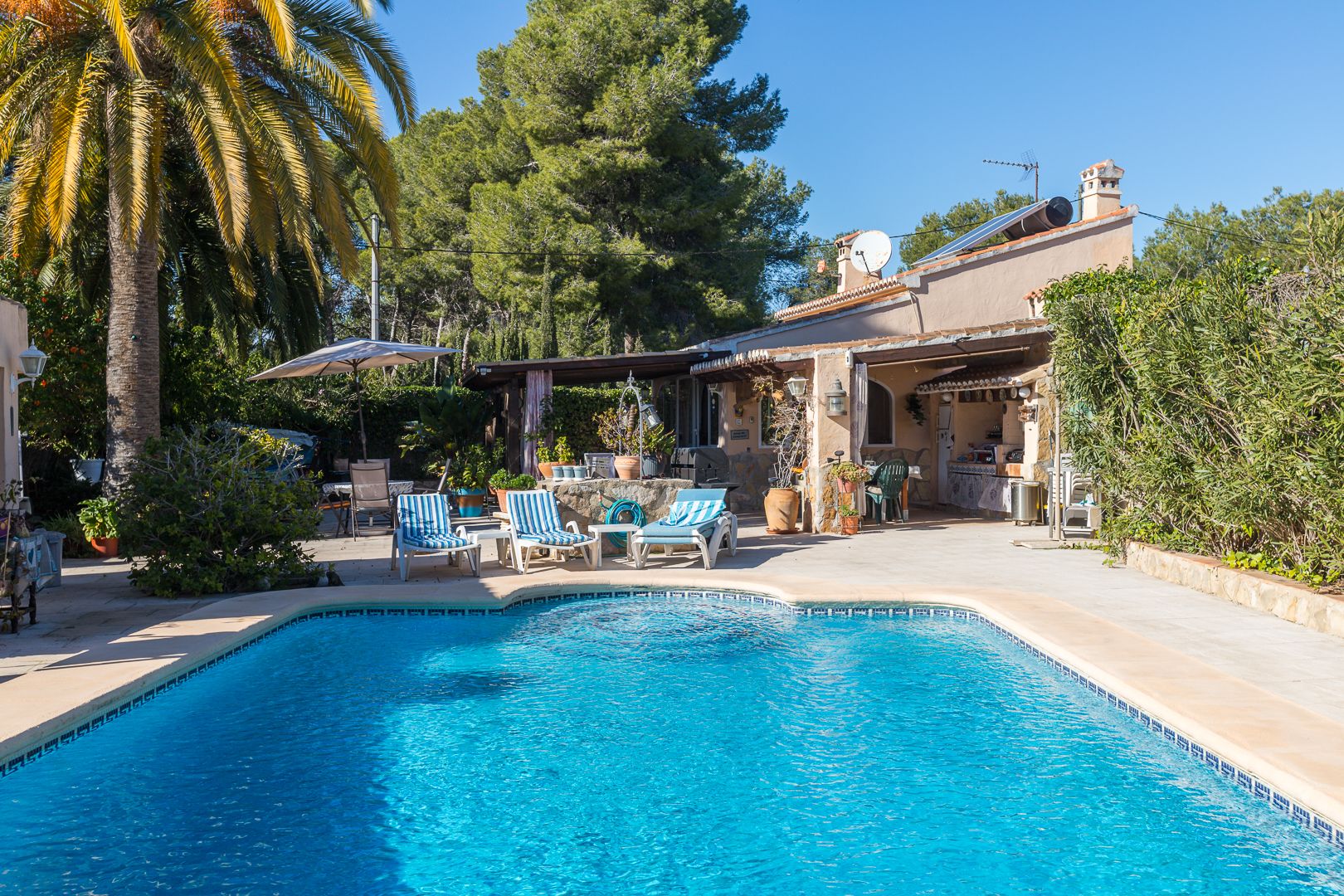 Blau gefliester Pool mit sonniger Terrasse, überdachter Außenküche und thermischen Sonnenkollektoren auf dem Dach, eingebettet in eine Landschaft mit Pinien und Palmen.