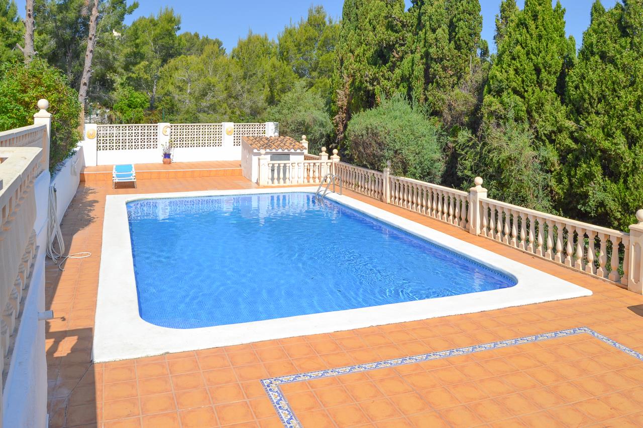 Ein 12x6 Meter großer rechteckiger Pool mit blauen Mosaikfliesen, umgeben von einer großzügigen Terrakotta-Terrasse mit Steinbalustraden und dichtem Baumbestand.