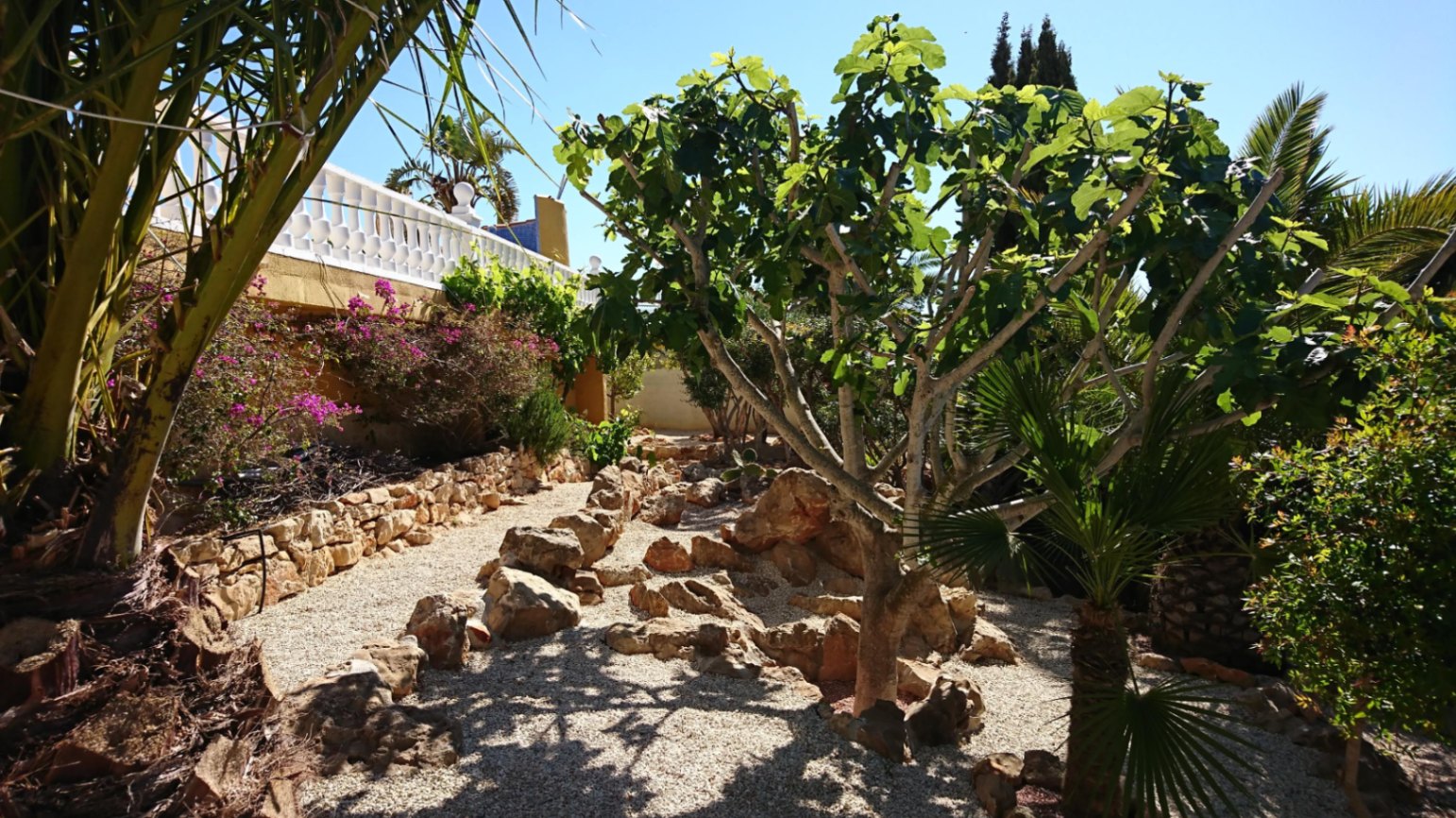 Mediterraner Garten mit Kieswegen, dekorativen Natursteinen und üppiger Bepflanzung wie Feigenbäumen und Bougainvillea unter einer weißen Balustrade.