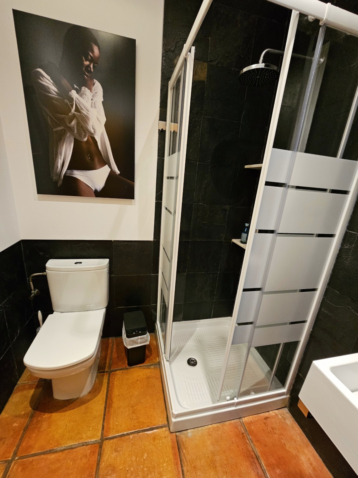 Badezimmer mit verglaster Dusche, dunklen Natursteinwänden und handgefertigten Terrakottaböden. Moderne Sanitärobjekte treffen auf künstlerische Wandgestaltung.
