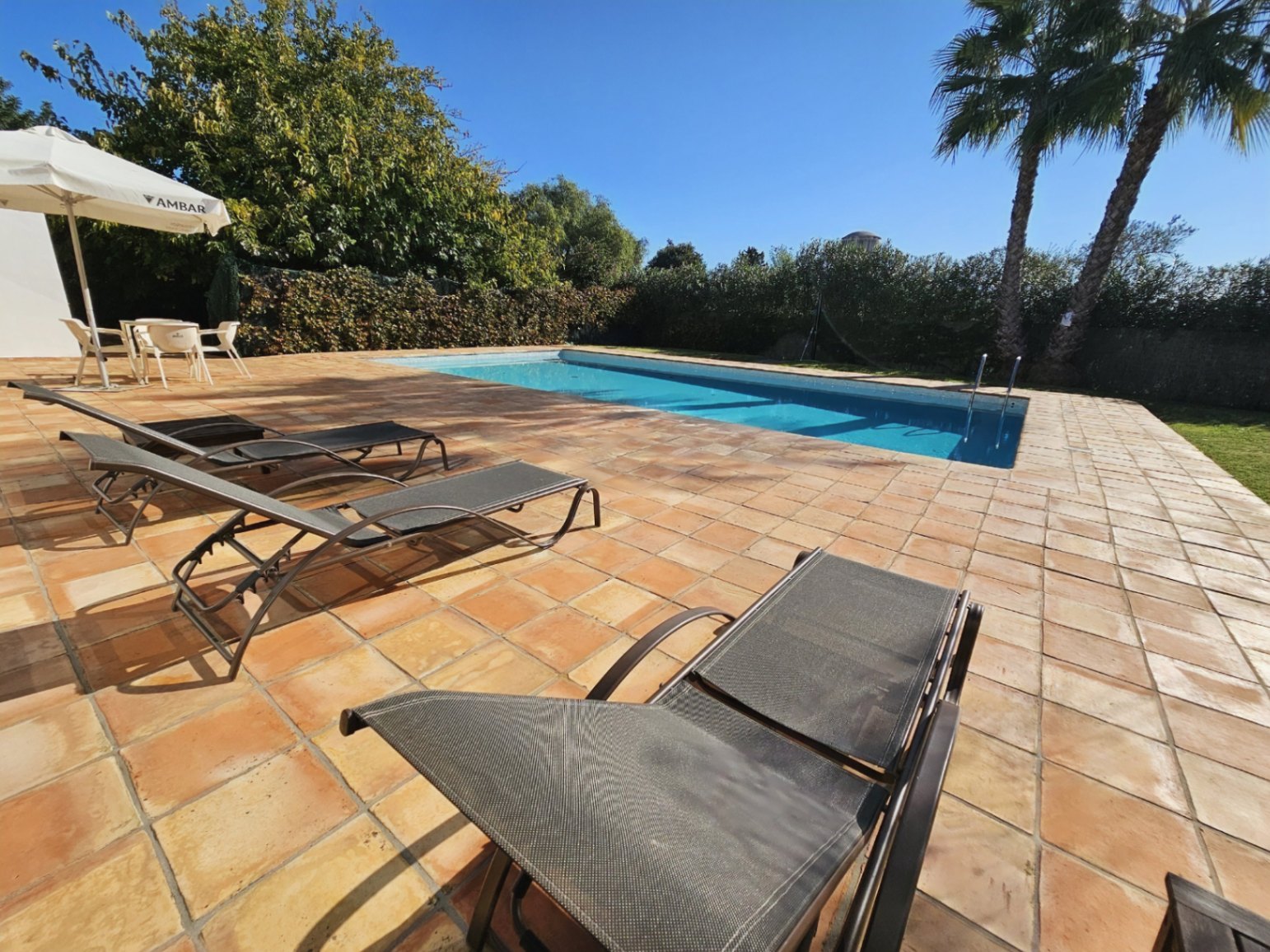 Poolbereich mit einer großzügigen Terrasse aus handgefertigten Tonfliesen, Sonnenliegen und einer Umrandung aus mediterranen Bäumen und Palmen.