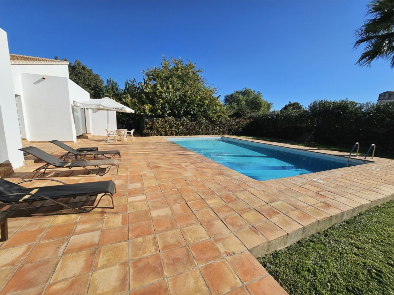 Rechteckiger Swimmingpool mit einer großzügigen Terrasse aus handgefertigten Tonfliesen, Sonnenliegen und Blick auf den gepflegten mediterranen Garten.