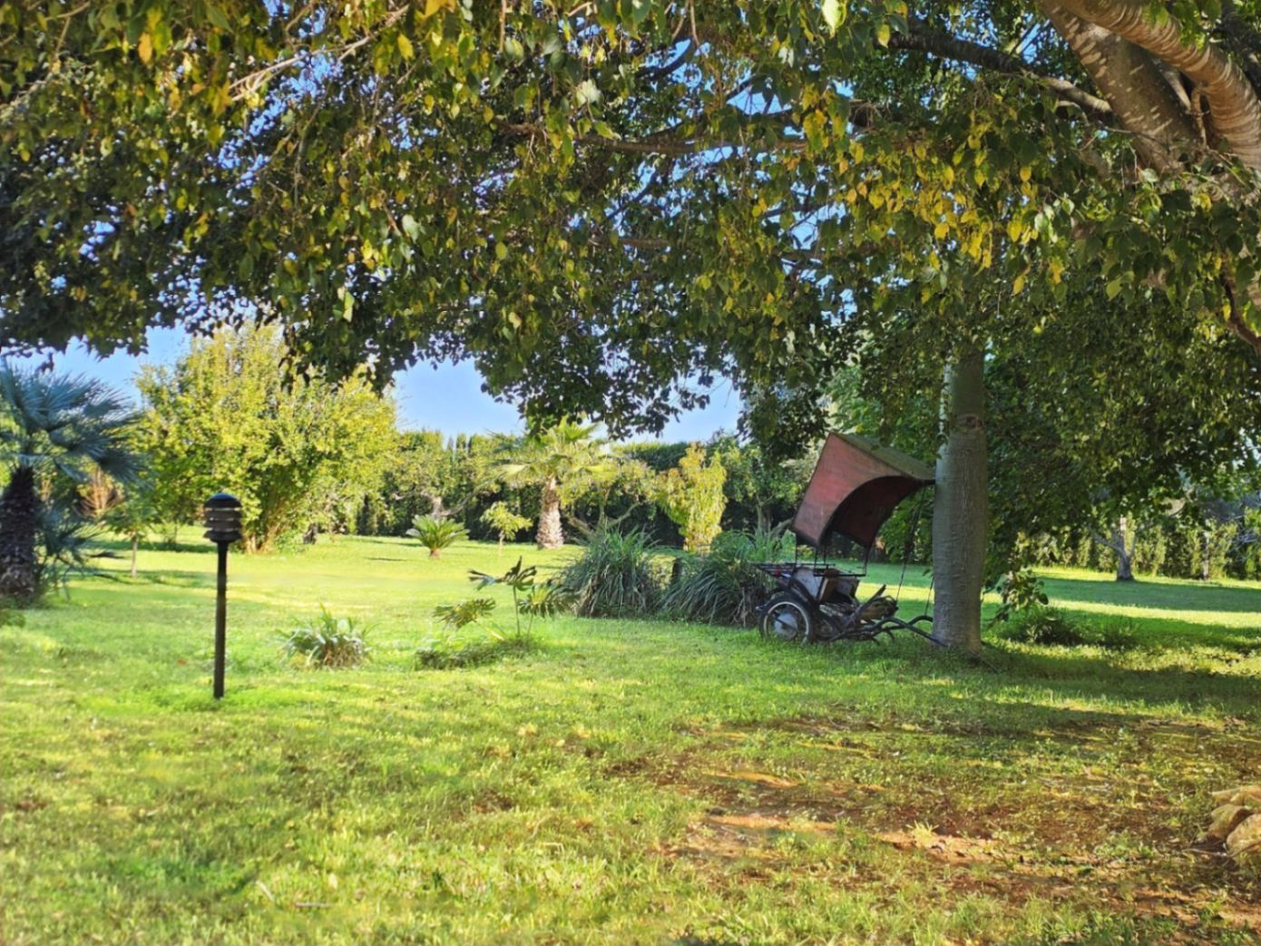 Weitläufiger, gepflegter Garten mit altem Baumbestand, einer dekorativen Kutsche im Schatten und üppiger mediterraner Bepflanzung.