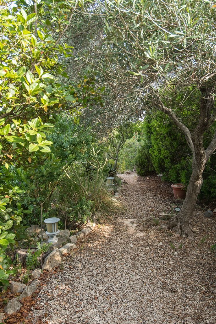 Ein geschwungener Kiesweg führt durch einen üppigen mediterranen Garten mit Olivenbäumen, dichter Bepflanzung und installierter Außenbeleuchtung.