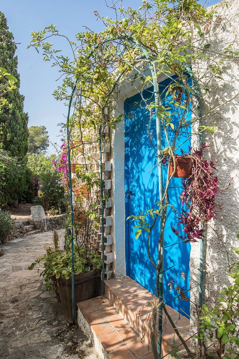 Leuchtend blaue Eingangstür, eingerahmt von einem Gartenbogen aus Metall mit Kletterpflanzen, Terrakottastufen und einem Natursteinweg im Außenbereich.